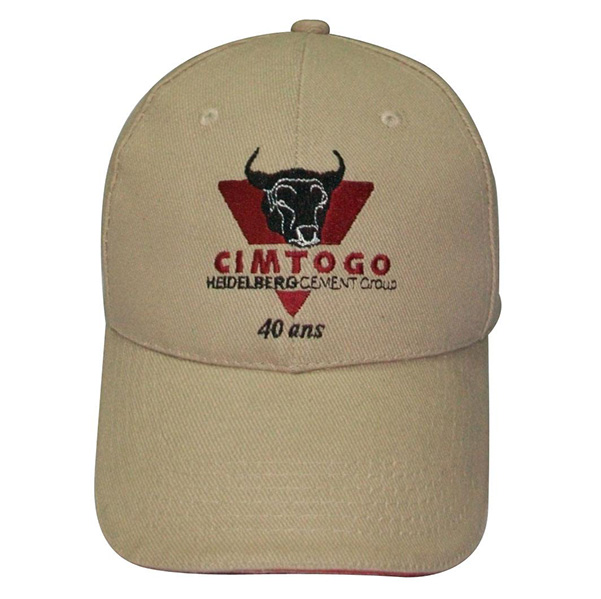 Blue 3D Embroidery Sport Caps