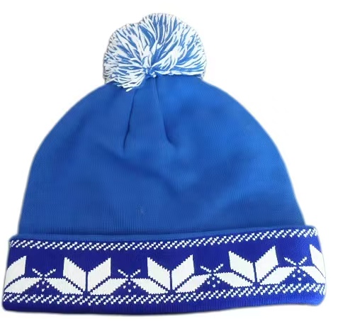 Blue 3D Embroidery Sport Caps
