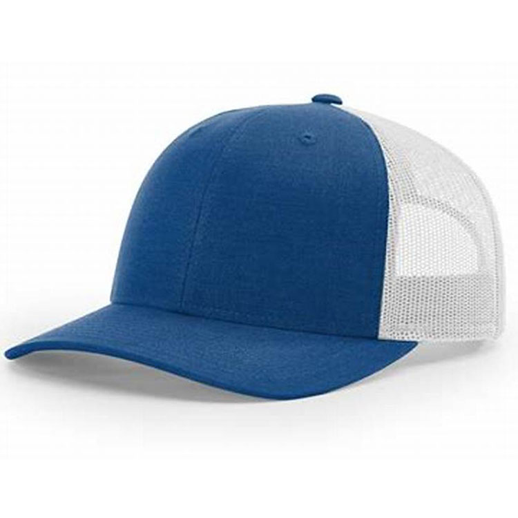 Blue 3D Embroidery Sport Caps